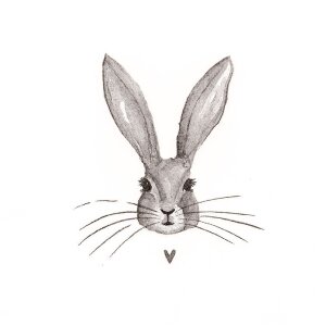 Clayre & Eef 73090 Papierservietten Hase 33x33 cm 20...