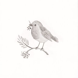 Clayre & Eef 73091 Papierservietten Vogelmotiv 33x33...