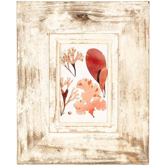 Clayre & Eef 2F1098 Fotorahmen Antik Beige 24x3x29 cm für Foto 10x15 cm