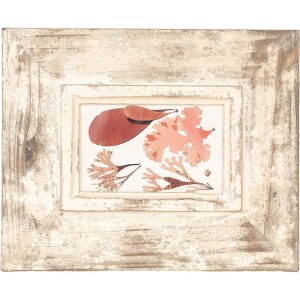 Clayre & Eef 2F1098 Fotorahmen Antik Beige 24x3x29 cm für Foto 10x15 cm