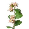 Clayre & Eef 5PL0116W Dekoration Zweig mit Blumen Weiß 18x10x80 cm