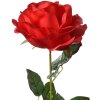 Clayre & Eef 5PL0138R Искусственный цветок Роза красная зеленая 19x19x75 см
