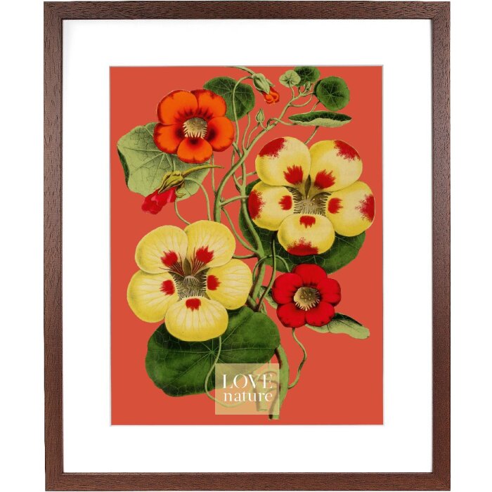 Goldbuch Rustiq Bilderrahmen braun 40x50 cm mit Passepartout 30x40 cm