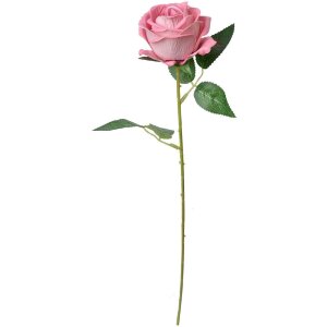 Clayre & Eef 6PL0359P Kunstblume Rose 8x8x50 cm