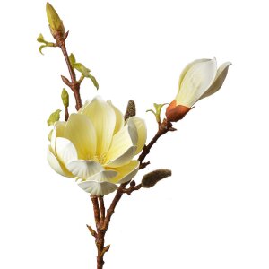 Clayre & Eef 5PL0128Y Künstliche Blume 17x11x70 cm