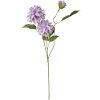 Clayre & Eef 5PL0130PA Künstliche Blume Violett 17x10x70 cm