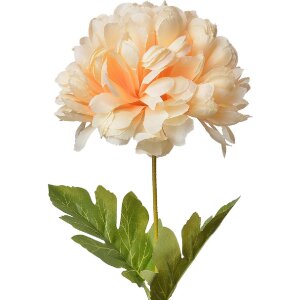 Clayre & Eef 5PL0133Y Искусственный цветок 15x15x80 см