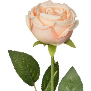 Clayre & Eef 6PL0369O Kunstblume Rose 9x9x61 cm