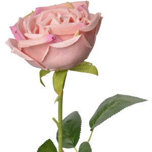 Clayre & Eef 6PL0369P Искусственный цветок роза 9x9x61 см