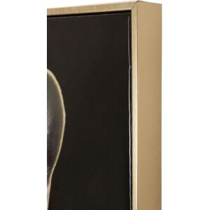 Mauro Ferretti Wandbild Bully 62x4x82 cm schwarz gold