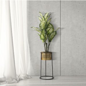 Mauro Ferretti Blumenständer Einfach Ø 25x50 cm gold schwarz