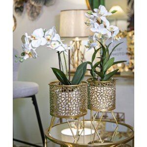 Mauro Ferretti Blumenständer Piny 2er-Set Ø 16x20 und 13x20 cm gold