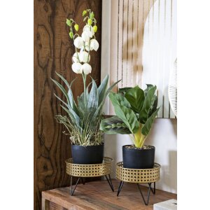 Mauro Ferretti Blumenständer Bossy 2er-Set Ø 20,5x13 und 18x13 cm schwarz gold