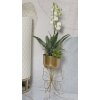 Mauro Ferretti Pflanzenständer Farfy Ø 22x45 cm gold