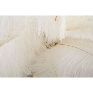 Mauro Ferretti настольная лампа пальма 2-светлая E14 Ø 40x55 см белое золото