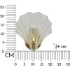 Mauro Ferretti Настенный светильник Shell E14 20x14x22 см золото