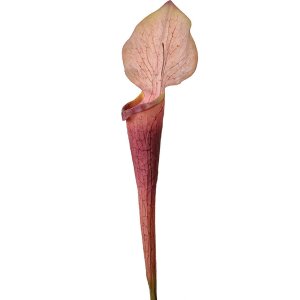 Clayre & Eef 5PL0188 Künstliche Blume violett...