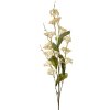 Clayre & Eef Декоративная ветка с цветами бежево-зеленая 80 см пластик