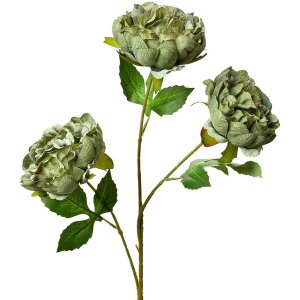 Clayre & Eef 5PL0166GR Dekoration Zweig mit Blumen...