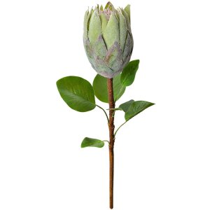 Clayre & Eef Искусственный цветок 6PL0389GR Зеленый 65 см Протея пластик