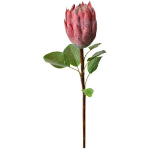 Clayre & Eef 6PL0389P Künstliche Blume Rosa Protea 65cm