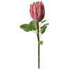 Clayre & Eef 6PL0389P Künstliche Blume Rosa Protea 65cm