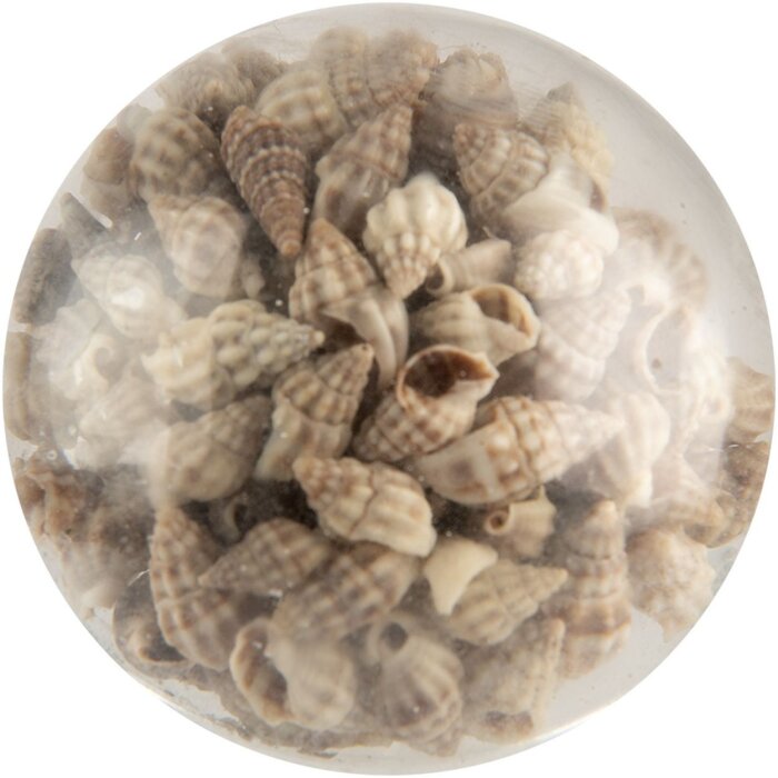 Дверная ручка Clayre & Eef стеклянная раковина декор бежевый Ø5x4 см загородный дом морской