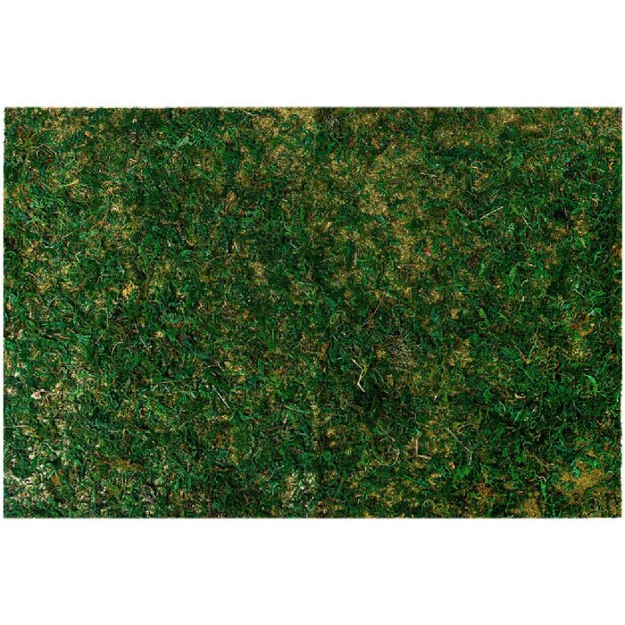 Clayre & Eef 66121 Моховой коврик 60x40x1 см Пышный зеленый пластиковый декор