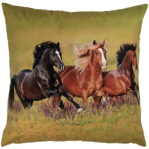 Clayre & Eef KT021.418 Kissenhülle 45x45 cm...