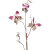 Clayre & Eef 50808 Dekoration Zweig mit Schmetterlingen Rosa 14x5x85 cm