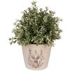 Clayre & Eef Dekorativer Blumentopf mit Hirschmotiv Ø 12x11 cm