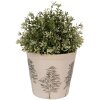 Clayre & Eef 6CENPT0001M Dekoration Blumentopf Ø 15x14 cm