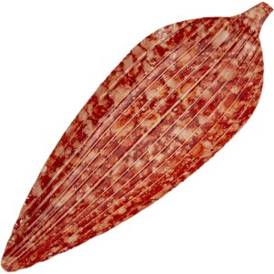 Mauro Ferretti Декоративная чаша Капля Красная 50x18x4 см