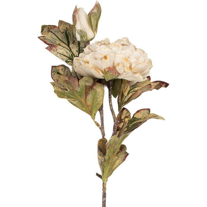 Clayre & Eef 5PL0194W Искусственный цветок белый/зеленый 12x10x77 см