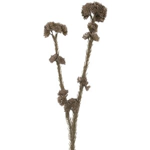 Clayre & Eef 6PL0399G Dekoration Zweig mit Blumen...