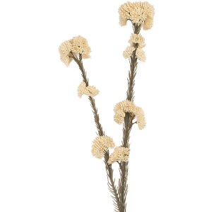 Clayre & Eef 6PL0399W Dekoration Zweig mit Blumen...