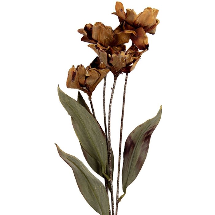 Clayre & Eef 6PL0403BR Dekoration Zweig mit Blumen 8x5x60 cm Braun