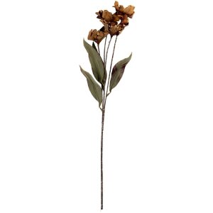 Clayre & Eef 6PL0403BR Dekoration Zweig mit Blumen 8x5x60 cm Braun