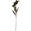 Clayre & Eef 6PL0403GR Dekoration Zweig mit Blumen 8x5x60 cm Grün