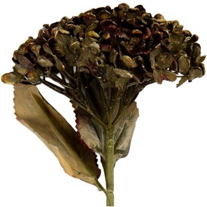 Clayre & Eef 6PL0404GR Dekoration Zweig mit Blumen...