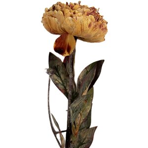 Clayre & Eef 6PL0405O Künstliche Blume 10x10x65...