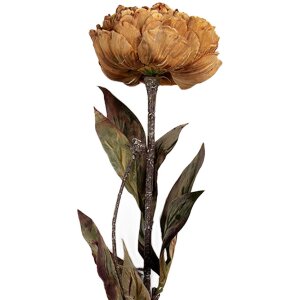 Clayre & Eef 6PL0405Y Künstliche Blume 10x10x65...