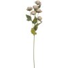 Clayre & Eef Ветка с цветами 10x10x63 см серо-зеленая