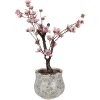 Clayre & Eef 6CE2240S Blumentopf Ø 15x13 cm Grün Grau Keramik