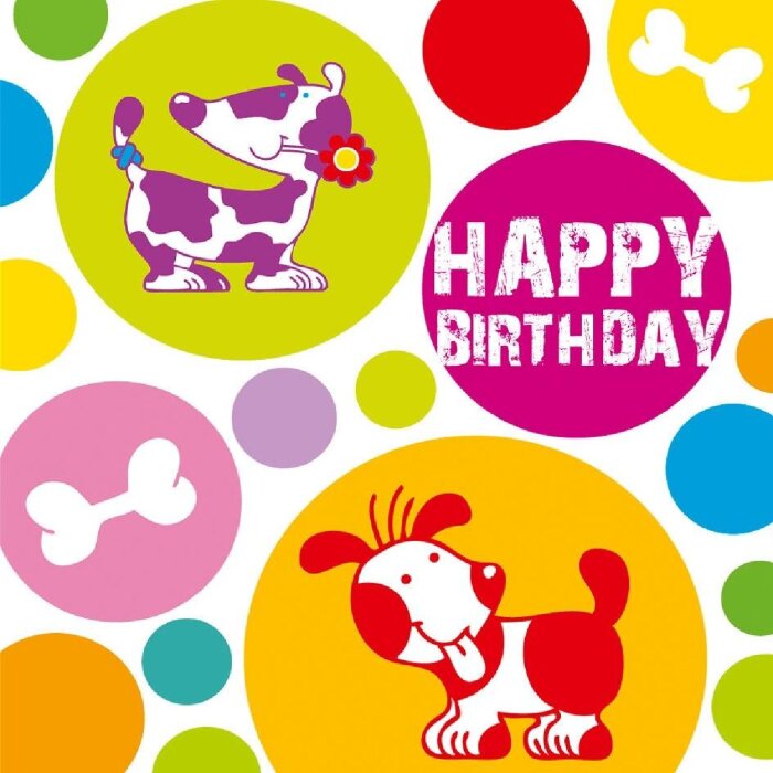 Artebene Minikarte Birthday Hunde 8x8 cm mit Umschlag