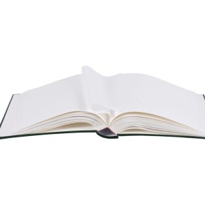 Henzo Fotoalbum MEMORY grün 28x30,5 cm 100 weiße Seiten Goldprägung