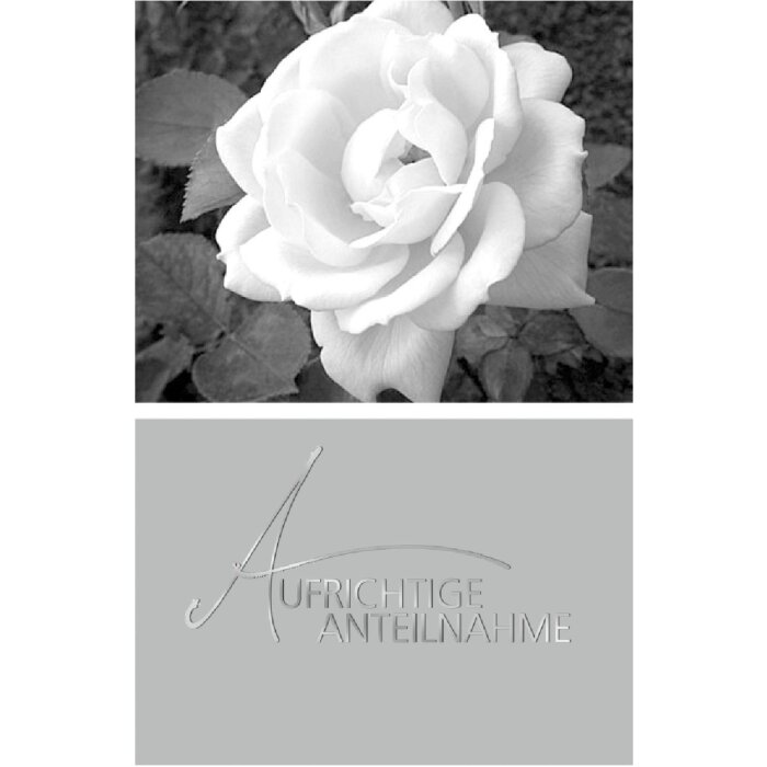 Artebene Karte Präge-Anteilnahme-Rose Rosa Medium