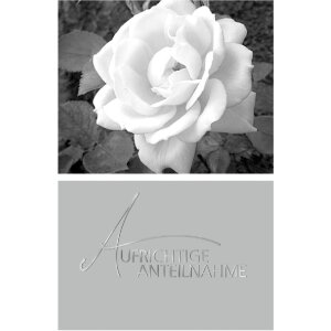 Artebene Karte Präge-Anteilnahme-Rose Rosa Medium