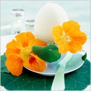 Бумажные салфетки Artebene 33x33 см - Яичная настурция