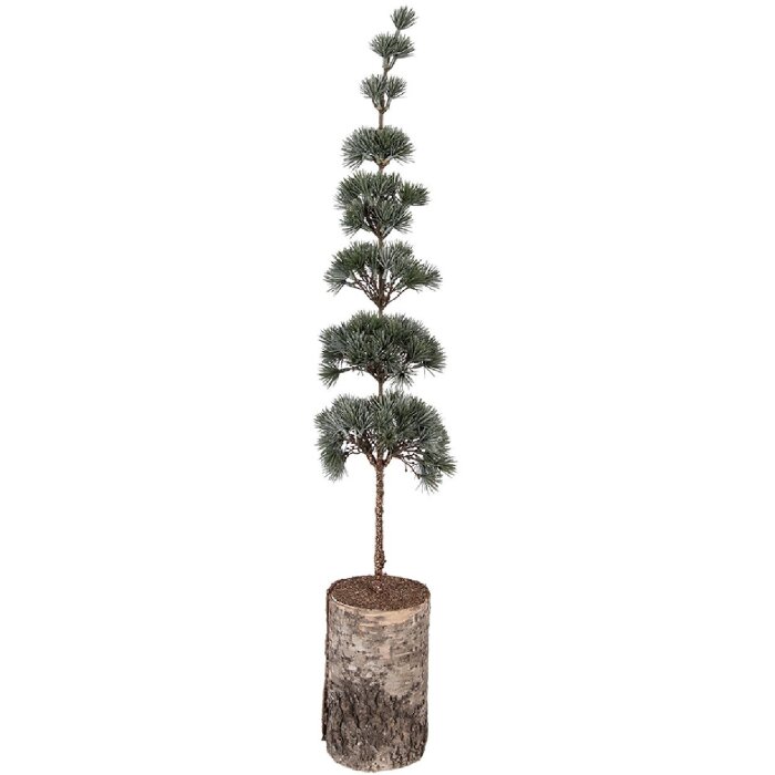 Clayre & Eef 50842 Dekoration Baum 15x12x80 cm grün braun